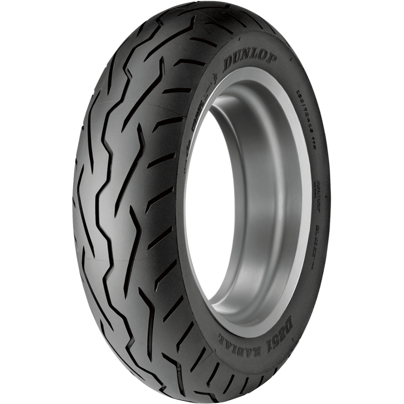Dunlop D251 OEM Replacement Rear Tire - Euromoto