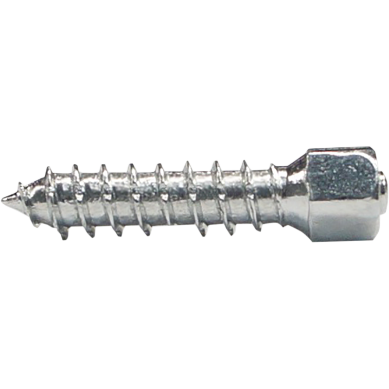 WOODYS TWIST TIRE SCREW CARBIDE TIRE ATTACK WST- - Euromoto